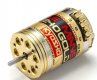 Le Mans 240 Gold brushless motor for 13.5T/4WD