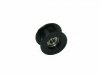 JI-31 GUIDE PULLEY (WITH BEARING)
