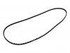 Front Belt (L) (Xtrada)