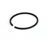 Piston Ring (FG-36)